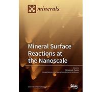 Mineral Surface Reactions At The Nanoscale