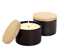 Minéraux et Cristaux - Bougie Parfumée Senteur Palo Santo - Cadeau Original et Naturel - Cire de Colza - Idéale pour Méditation, Relaxation et Rituel - Longue Combustion
