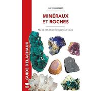 Minéraux et roches: Plus de 600 échantillons grandeur nature
