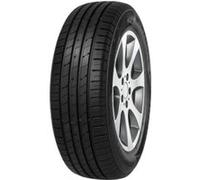 Minerva Tyres Pneu Ecospeed 2 SUV 285/45 R21 113Y XL BSW