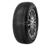 Minerva Frostrack Van 195/65R16C 104T Bsw