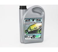 Minerva Huile moteur 2 temps Motoculture 2TS SYNTHESE (2L)
