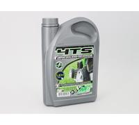 Minerva Huile moteur 4 temps Motoculture 4TS SYNTHESE 10W30 (2L)