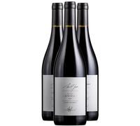 Minervois MICHEL SARRAN Cuvée Gourmet - Rouge 2020 - Signature Chef - Vin Rouge du Languedoc - Roussillon (3x75cl)