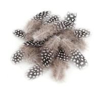 MINGJAY Plume,200 Pièces Plumes Loisirs Creatifs 4.5 à 10cm,Plume Décoration,Plumes Naturelles,Plumess de Pintade pour Bricolage,pour DIY Dreamcatcher,Fête de Mariage,Décoration D'intérieur