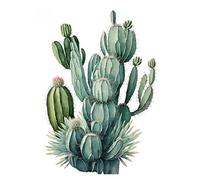 MINGYTN Impression Sur Toile Peinture Affiche D'art De Cactus, Impression Sur Toile, Décoration Murale Esthétique Et Naturelle(C,40X50cm)