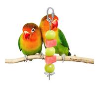 Minhaxue Pic À Fruits pour Oiseaux | Distributeur de Bâtonnets de Légumes en Inoxydable pour Becs-croisés - Brochette pour Friandises d'oiseaux,pour Cage, Ara, Cacatoès, Conure, Calopsitte, Perruche,