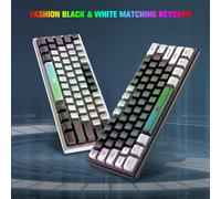 Mini 60% Wired USB Gaming Keyboard,RGB Backlit Semi-Mechanical Membrane Keyboard Compact 62 Keys Double Color QWERTY for PC,Mac,Laptop,White & Black
