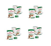 Mini Adult | Pâtée pour Chiens | 4 x 12 x 85 g | Bouchées en Sauce | Royal Canin | Aliment complet | Pour petits chiens adultes | Énergie adaptée | Lot de 4