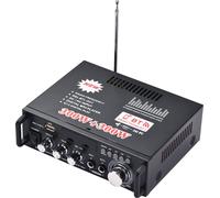 mini amplificateur de puissance Bluetooth 12 V/220 V pour voiture domestique, amplificateur de puissance de haut-parleur, lecteur de carte SD, disque U, supporte la radio FM, double entrée MIC, avec a
