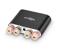 Mini-amplificateur numérique Nobsound NS-10G Pro Hi-Fi DSP - 100 W - Avec système bluetooth 5.0 - Audio stéréo à 2 canaux - Pour une utilisation à domicile