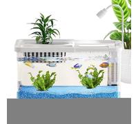 Mini aquarium à poissons - Kit de réservoir Betta - Bol décoratif en verre transparent - Outils complets d'habitat de bureau - Accessoires d'alimentation et réservoir d'eau - Décoration de la maison