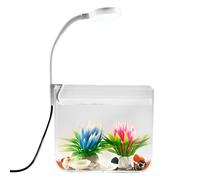 Mini aquarium avec lumières à clip et kit antidérapant, kit pour aquarium, accessoires pour Betta, maison, appartements, bureau, hôtel, apprentissage et observation dans les aquariums