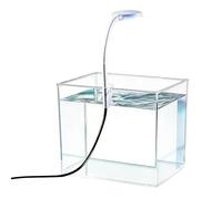 Mini Aquarium | avec Un Clip, Base Transparente antidérapante | Aquarium de Table pour Poissons Betta - pour Maison, Chambre, Appartement, Adultes et, aquariophilie, Vision