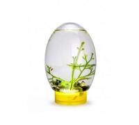 Mini aquarium de bureau avec lumière LED, écosystème auto-entretenu, pas besoin de nourrir ou de changer d'eau, écosystème de biosphère, aquarium pour la maison et le bureau (jaune)