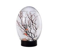 Mini Aquarium Fish Tank Ecosphere Closed Aquatic Ecosystem with LED Light Desktop Aquarium Stable Black Base No Need to Feed Or Change Water,biosphere Ecosystem