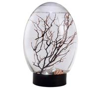 Mini Aquarium Fish Tank Ecosphère Écosystème Aquatique fermé avec LED Light Desktop Aquarium Base Noire Stable Pas Besoin de Nourrir ou de Changer d'eau, écosystème biosphère