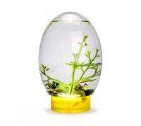 Mini Aquarium Fish Tank Ecosphère Écosystème Aquatique fermé avec LED Light Desktop Aquarium Stable Yellow Base Pas Besoin de Nourrir ou de Changer l'eau, l'écosystème la biosphère