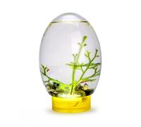 Mini Aquarium Fish Tank Ecosphere Écosystème Aquatique Fermé avec Lumière LED Aquarium de Bureau Base Jaune Stable Pas Besoin de Nourrir ou de Changer l'eau