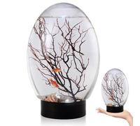 Mini Aquarium, Petit Aquarium de Bureau avec lumière LED, écosystème Autonome, Pas Besoin de Nourrir ou Changer l'eau, écosystème Aquatique fermé pour la Maison