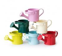 Mini arrosoir en métal avec Long Bec pour Verser Facilement, pour Plantes d'intérieur et d'extérieur, pour Enfants, Paquet de 6