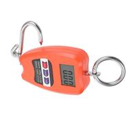 Mini Balance Numérique Pour Peser Le Poisson 200 Kg Pour Bagages Portable Facile À Utiliser