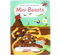 Mini Beasts