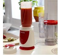 Mini blender 350W plastique sans BPA blanc gris 0,6L + gourde