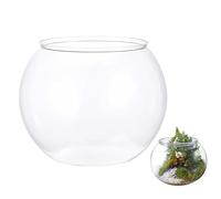 Mini Bocal À Poisson Accessoires Pour Aquarium Transparents Et Résistants