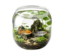 Mini Bocal À Poisson Aquarium Rond Décoratif Transparent