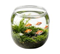 Mini Bocal À Poisson | Aquarium Transparent Décoratif - Bocal À Poisson Rouge Petit Réservoir - Idéal pour Maison, École, Salle de ortoir, Restaurant, Bar, Salon de séjour, Chambre, Bureau
