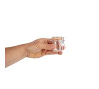 Mini bocaux à conserves 70 ml - Lot de 12 Vogue