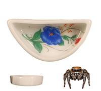 Mini bol à eau en céramique pour araignée, tarentule, petit araignée, cricket, escargot, manti insectes