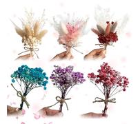 Mini Bouquets de Fleurs Séchées Naturelles Lot de 6 Fleurs Séchées Resine Epoxy Paquets de Fleurs séchées pour Petits Cadres Photo, Bricolage,Scrapbook Cadre Photo Décoration Nail Art Artisanat