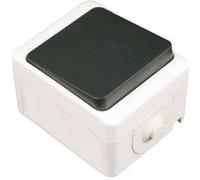 Mini bouton poussoir 10A IP54 - noir - Zenitech Noir G