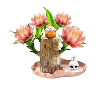 Mini Brésilien avec moine, cultivez votre propre chance, facile à entretenir, pour l'intérieur/extérieur, la chambre, la cuisine, le bureau, le jardin et (Orange, 10cm)
