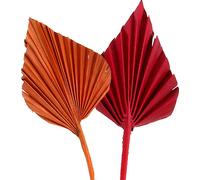Mini brochette de palmiers assortie en rouge/orange - 100 pcs - Fleurs et décorations de deuil