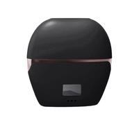 Mini brosse à lisser de voyage - Brosse à cheveux 3 températures, étui à accessoires synthétiques de haute qualité | Peigne sans fil pour femmes et filles - Long et court - Pour la maison, le bureau