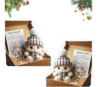 Mini Bunny Hug Cute Easter, Handmade Bunny Hugs in Box, Pocket-Sized Comfort with Knit Hat & Gift Box, for Friends Family (2PCS-K+K)