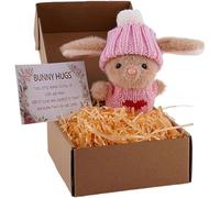 Mini Bunny Hug in a Box Easter Gifts for Kids, Handmade Crochet Pocket Hug with Inspirational Card, Mini Bunny Hug in a Box for Anxiety Relief, Friendship and Family Keepsake (01)