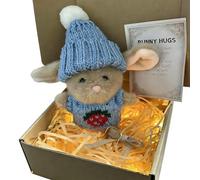 Mini Bunny Hug in a Box, Handmade Crochet Pocket Hug Easter Gifts, Emotional Support Rabbit Doll with Inspirational Card, Anxiety Relief Little Pocket Bunny Toy for Kids Women Friends Family (04)