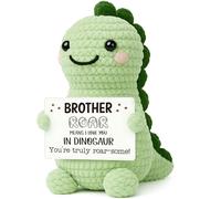 Mini cadeau dinosaure en crochet fait à la main pour frère - Surprise amusante pour un frère de la part d'une sœur, cadeau d'encouragement de remise de diplôme, rappel positif insolite, cadeaux
