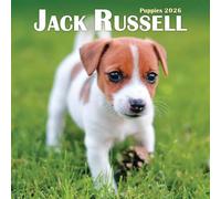 Mini calendrier 2026 Jack Russell Puppies