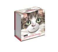 Mini calendrier - 365 amours de chats - Collectif - Play Bac Eds - cartonné - Calendrier