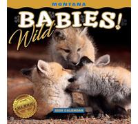 Mini calendrier mural 2026 Montana Wild Babies
