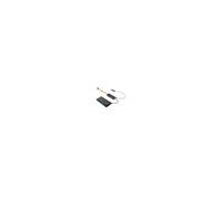 Mini Caméra Espion 720P Micro Wifi Détecteur Mouvement Vision Nocturne + SD 32Go