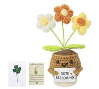 Mini carte de vœux porte-bonheur avec trèfle à quatre feuilles - Bon cadeau de rétablissement - Pomme de terre positive - Remplacement allemand - Cadeau pour la famille, les amis et la femme