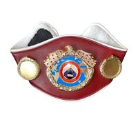 Mini ceintures de championnat de boxe pour enfants - WBC, WBA, IBF, WBO, IB, ceinture réglable en cuir avec plaques métalliques chromées lourdes, ceinture trophée champion pour enfants, affichage et