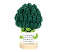 Mini chou-fleur au crochet positif amusant avec carte positive, support émotionnel, poupée au crochet, cadeau de Noël, d'anniversaire pour enseignant, cadeau d'appréciation, décoration de bureau