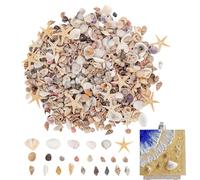 Mini Coquillages | Loisirs Créatifs DIY - Coquillages Naturels de Plage,pour Amateurs, Débutants, Adultes, Professeurs d'art, Artistes, Aquariums, Vacances, Maison, Bureau te